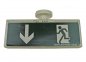 Preview: LED emergency luminaire LES-392