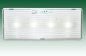 Preview: LED-emergency luminaire LEL-316-4L