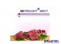 Preview: METOLIGHT LED-Tube Meat for beef meat desk - www.asmetec.shop.de