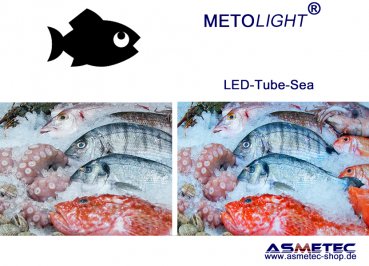 METOLIGHT LED-Röhre Fisch und Meeresfrüchte