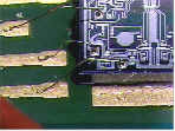 Video microscope MiniScope SW